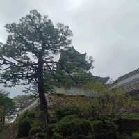 Here is Kochi, Chikoku Island, Japan