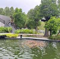 คาเฟ่น้องใหม่มาแรงของระยอง U forest