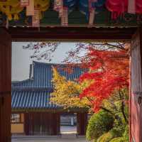 Beautiful autumn view of Bulguksa Temple