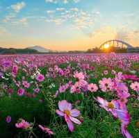 Mount Tsukuba 🌸 