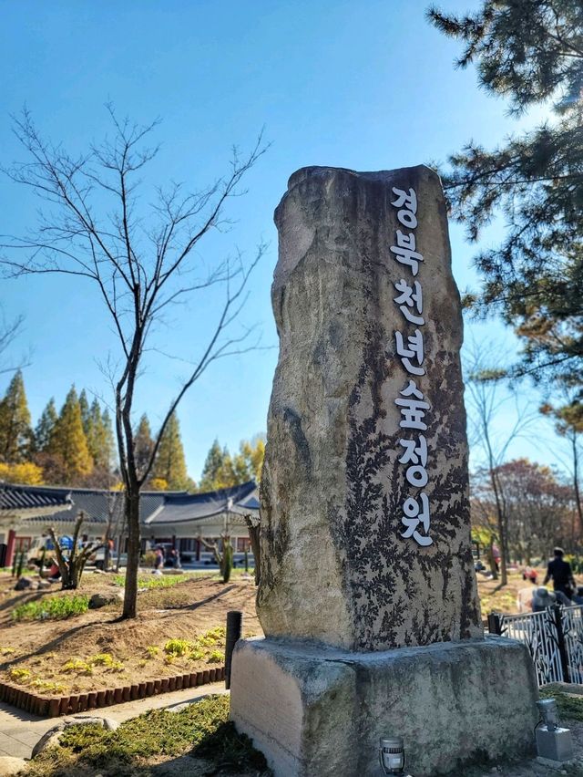 변함없이 아름다운 경주의 가을🍁🍂