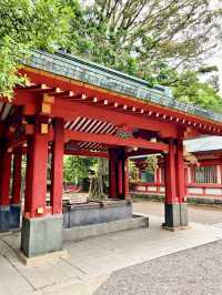 【埼玉】武蔵一宮氷川神社⛩