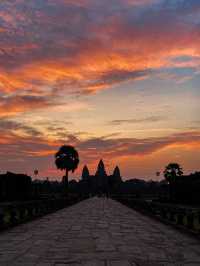 The Largest temple in The World! 