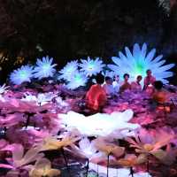 Lotus light zone @Nasatta night trip