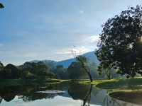 Taiping Lake Gardens