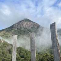 Wisdom Path 
