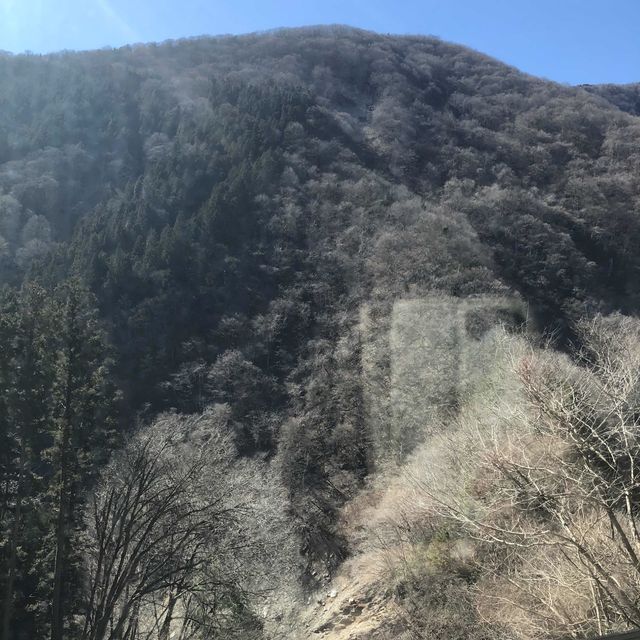 【三峯神社②】