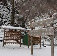 日本東北 猊鼻溪遊船