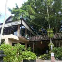 🪷荷花池中的泰日fusion樹屋餐廳🌳 