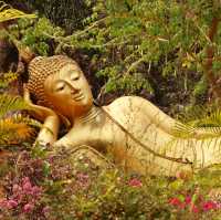 วัดสินไชยาราม เมืองเฟือง เวียงจันทน์