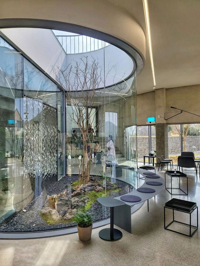 3월초 오픈한 역대급 통창뷰 청도 신상카페🌳☕️