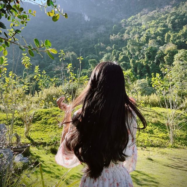 🦖VANGVIENGINTERPARK🦕