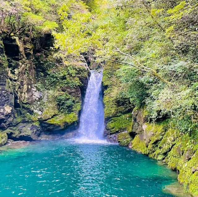 【高知県/吾川郡】にこ淵