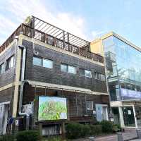 주목-! 속초 케이블카로 손쉽게 설악산 등산해요