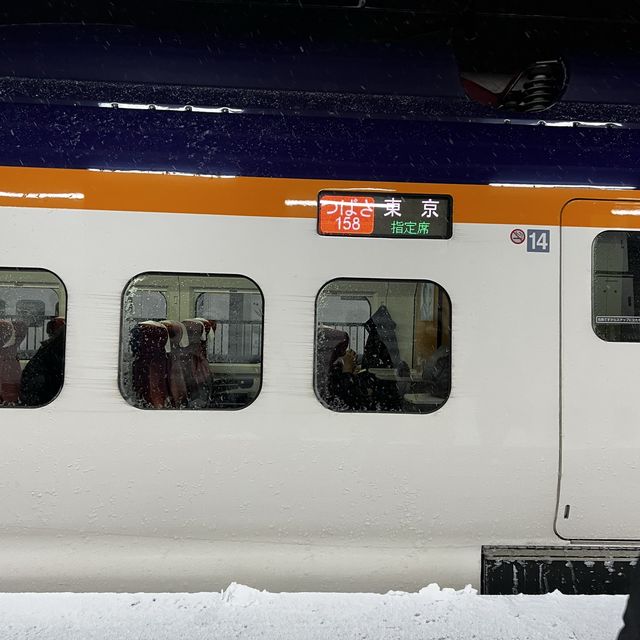 日本| 山形| 白雪銀山溫泉米澤一天遊 | 一生不能錯過的地方