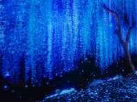 沉浸式視覺藝術展覽