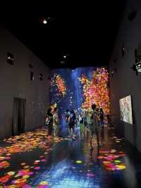 Art Science Museum มิติใหม่แห่งการชมพิพิธภัณฑ์