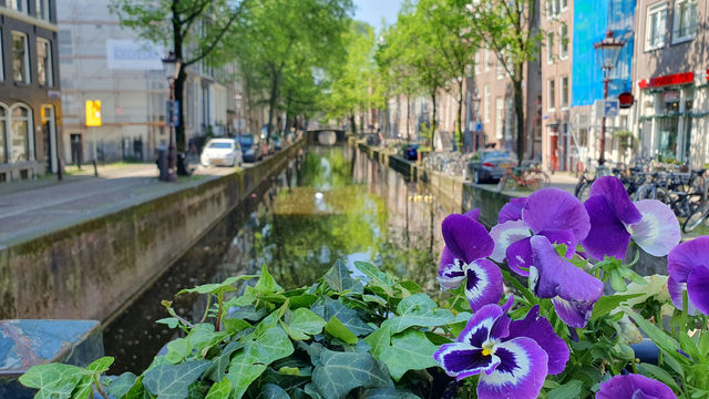 Amsterdam in May 2023