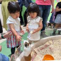可愛い動物たちと出会う場所→ソラマチにある