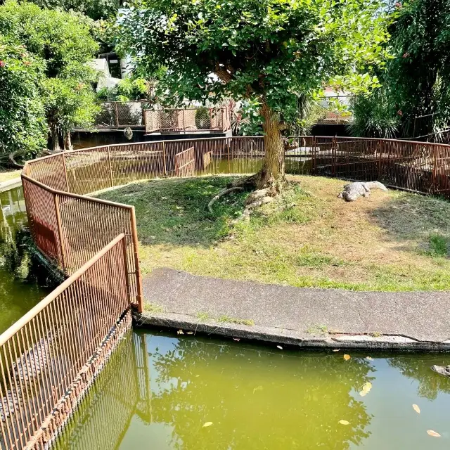 【静岡】熱川バナナワニ園　のんびり🐊や熱帯の植物が楽しめる