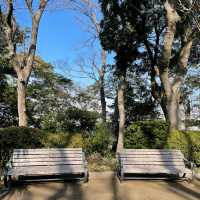 【神奈川】横浜🌼港の見える丘公園