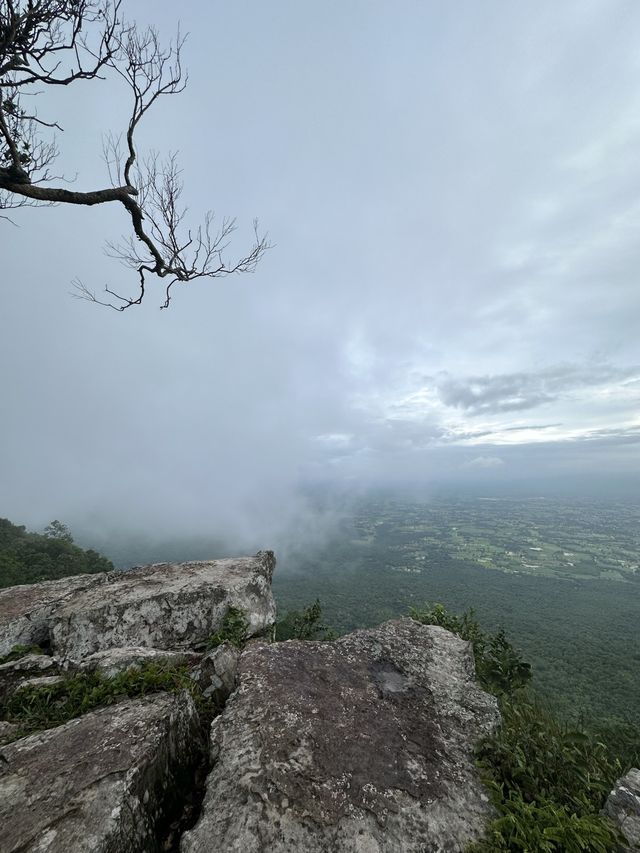 “ฮ่มหมอก บอกฮัก”อุทยานแห่งชาติภูแลนคา🌫️
