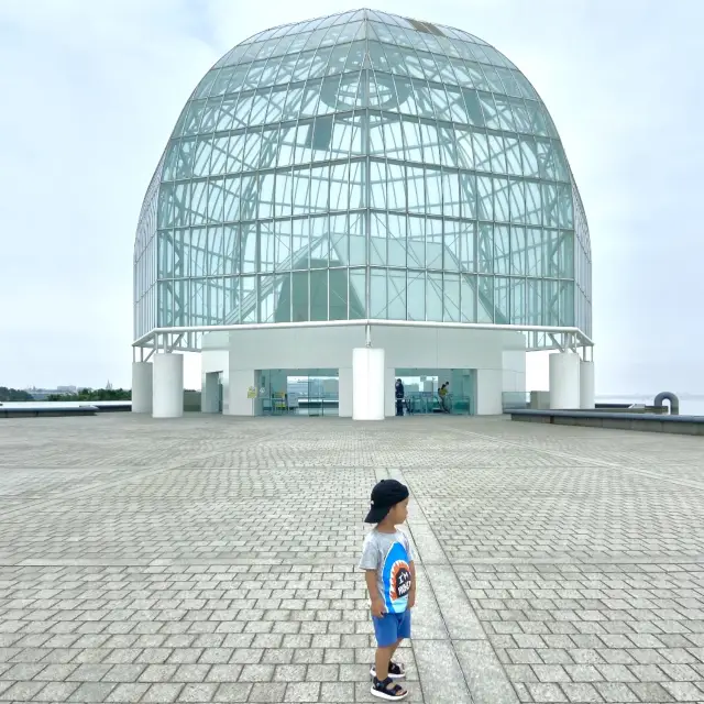 📍葛西臨海水族園