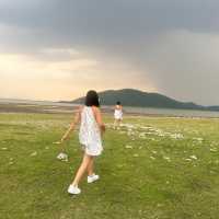 เขื่อน ป่าสักชลสิทธิ์ ลพบุรี ปิคนิคถ่ายรูปเล่น