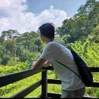 Me and the cute monkeys at MacRitchie