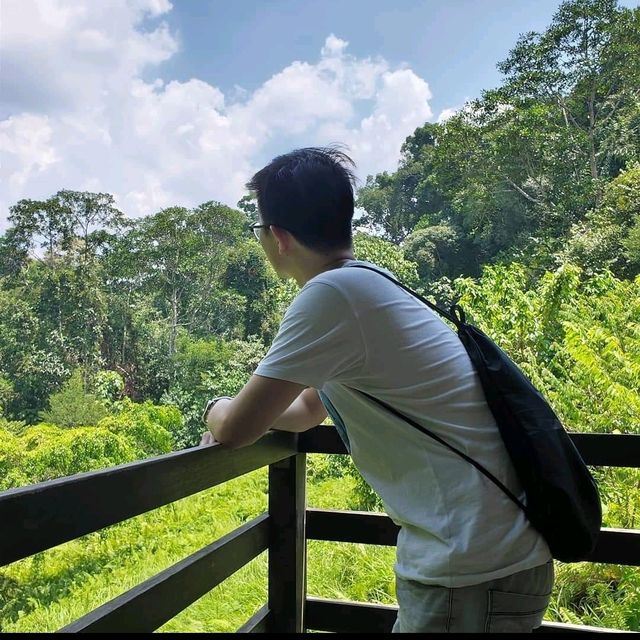 Me and the cute monkeys at MacRitchie