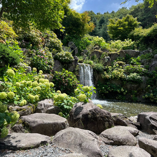 【山梨】花の都公園🌻