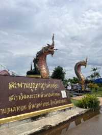 พญาเต่างอย