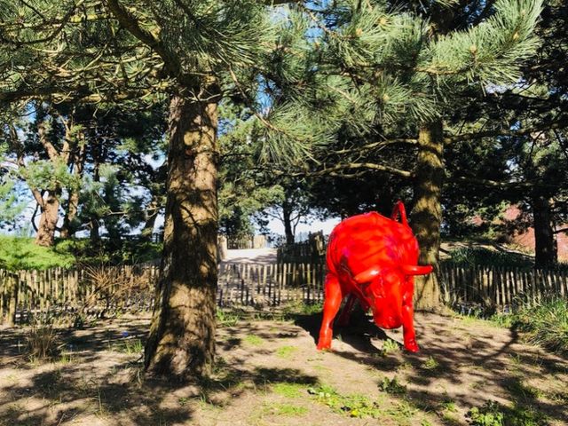 荷蘭🇳🇱盧瑟Lisse·親子好去處🐑🌳庫肯霍夫花園Keukenhof Garden