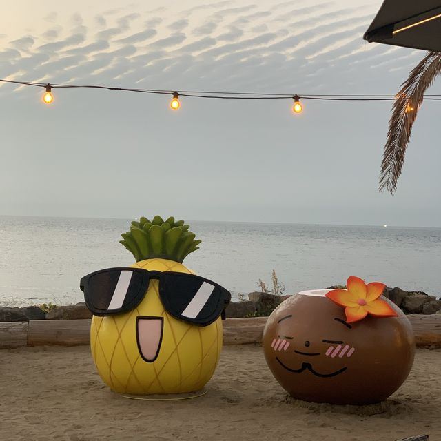 제주여행 바다보며 산책하기 좋은 “한담해안산책로”🤍