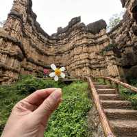 ผาช่อ Phachor (Mae Wang National Park) เชียงใหม่