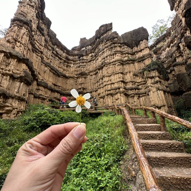 ผาช่อ Phachor (Mae Wang National Park) เชียงใหม่