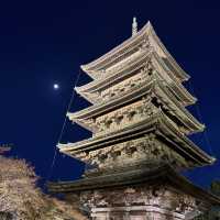 【京都】大人旅　秋の京都ココは外せない！