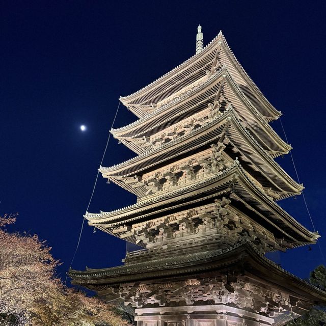 【京都】大人旅　秋の京都ココは外せない！