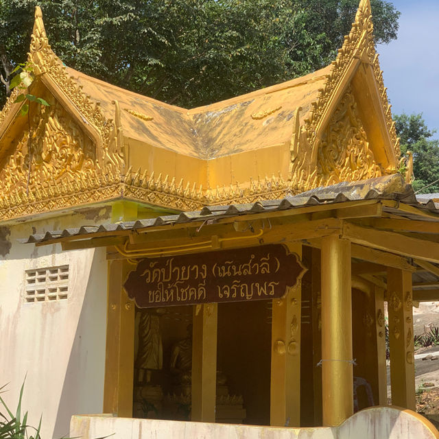 วัดป่ายาง ชุมพร