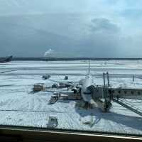 ぜひ行ってほしい！新千歳空港グルメ