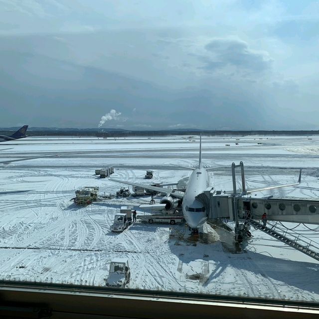 ぜひ行ってほしい！新千歳空港グルメ