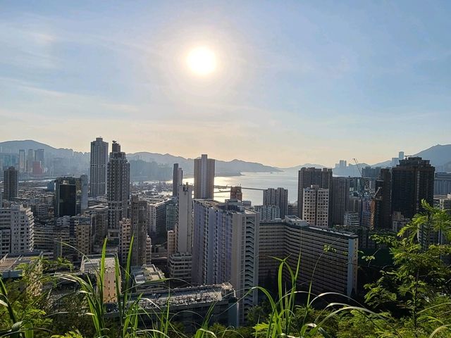 【市區快閃登頂~紅燈山🚨】