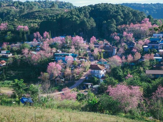 บ้านร่องกล้า