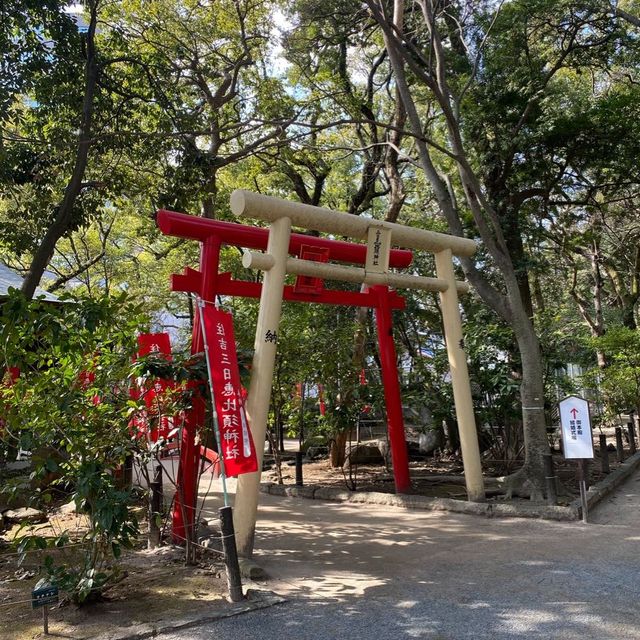 Best view of the Sumiyoshi Jinja