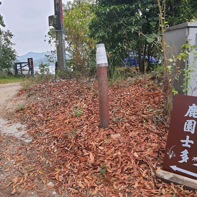 遙望深圳的鹿頸天后宮