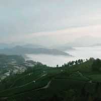 Beautiful sea of clouds and sunset on Alishan
