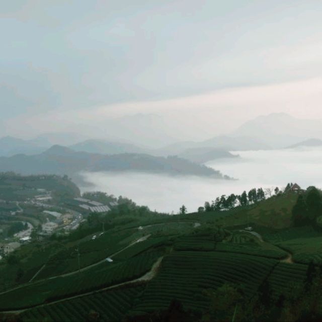 Beautiful sea of clouds and sunset on Alishan