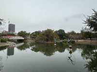Green Lung in Downtown Kaohsiung 