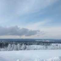 【美幌峠】が素晴らしい