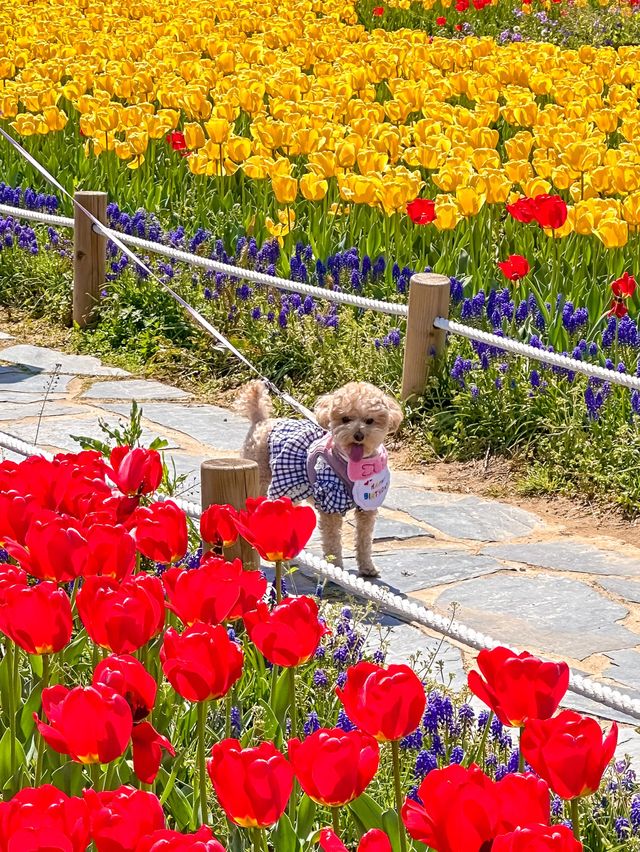 지금 당장 양산에 가야하는 EU 🌷🩷